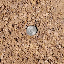 Gold Crusher Fines, showcasing a refined blend of finely crushed stones in radiant golden tones, alongside a quarter for size comparison. Exclusively available at Albuquerque Landscape Supply, these top-quality fines offer a luxurious touch to outdoor areas. Transform your pathways, garden features, or hardscape projects with these meticulously crafted fines, achieving a sleek and polished appearance that radiates sophistication.
