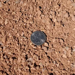 Blush Crusher Fines, a captivating blend of finely crushed stones in soft blush hues, accompanied by a quarter for size comparison. Exclusively available at Albuquerque Landscape Supply, these fines offer a versatile solution for enhancing outdoor spaces. Use them for patios, pathways, or garden accents to create an elegant and inviting atmosphere with a touch of natural beauty.